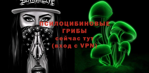 прущие грибы Абинск