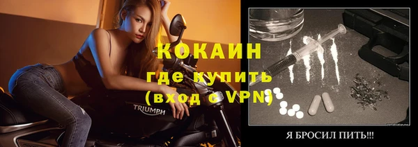 прущие грибы Абинск
