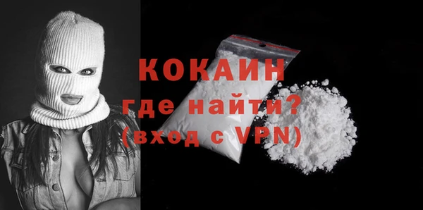 прущие грибы Абинск