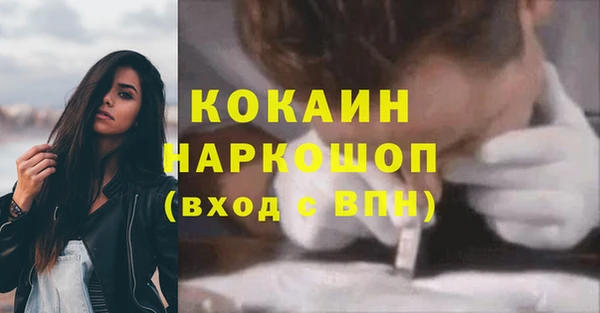 прущие грибы Абинск