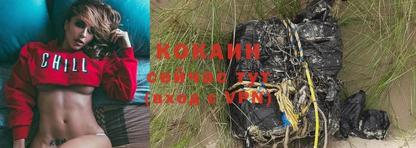 спайс Алексин