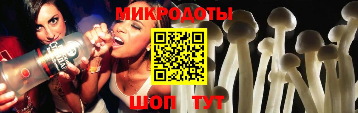 Галлюциногенные грибы Psilocybe  Псилоцибиновые грибы ЛСД  Алексин  Вход с VPN 