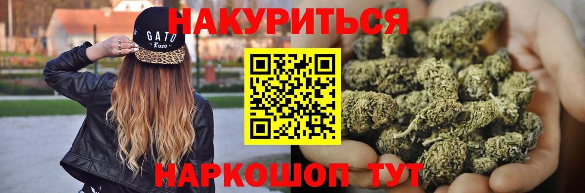 Конопля сатива Алексин